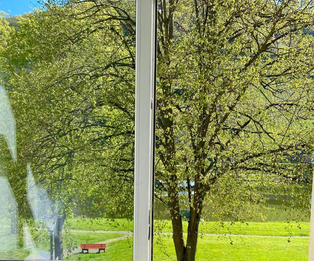 Hotel Krone Riesling Trittenheim Eksteriør bilde