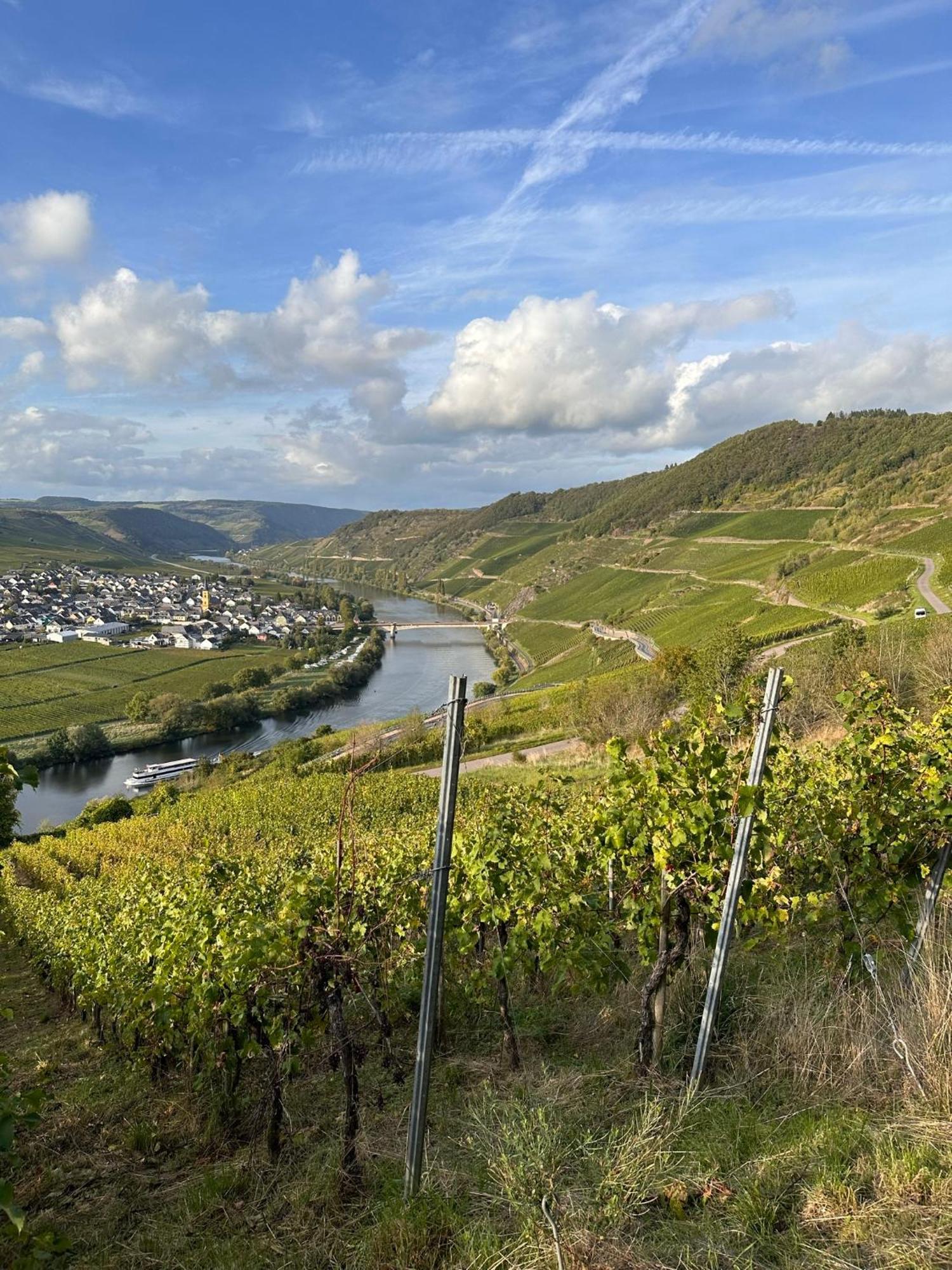 Hotel Krone Riesling Trittenheim Eksteriør bilde